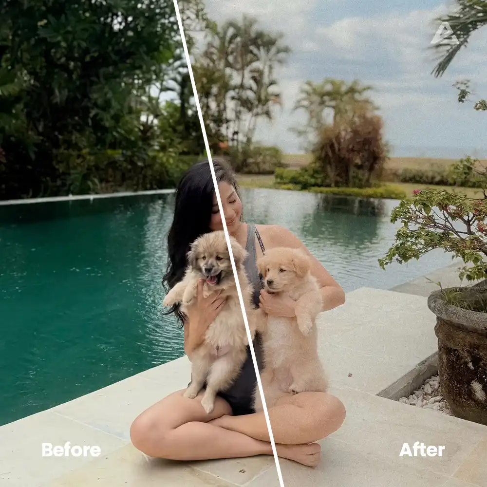 Authentic Lightroom Presets